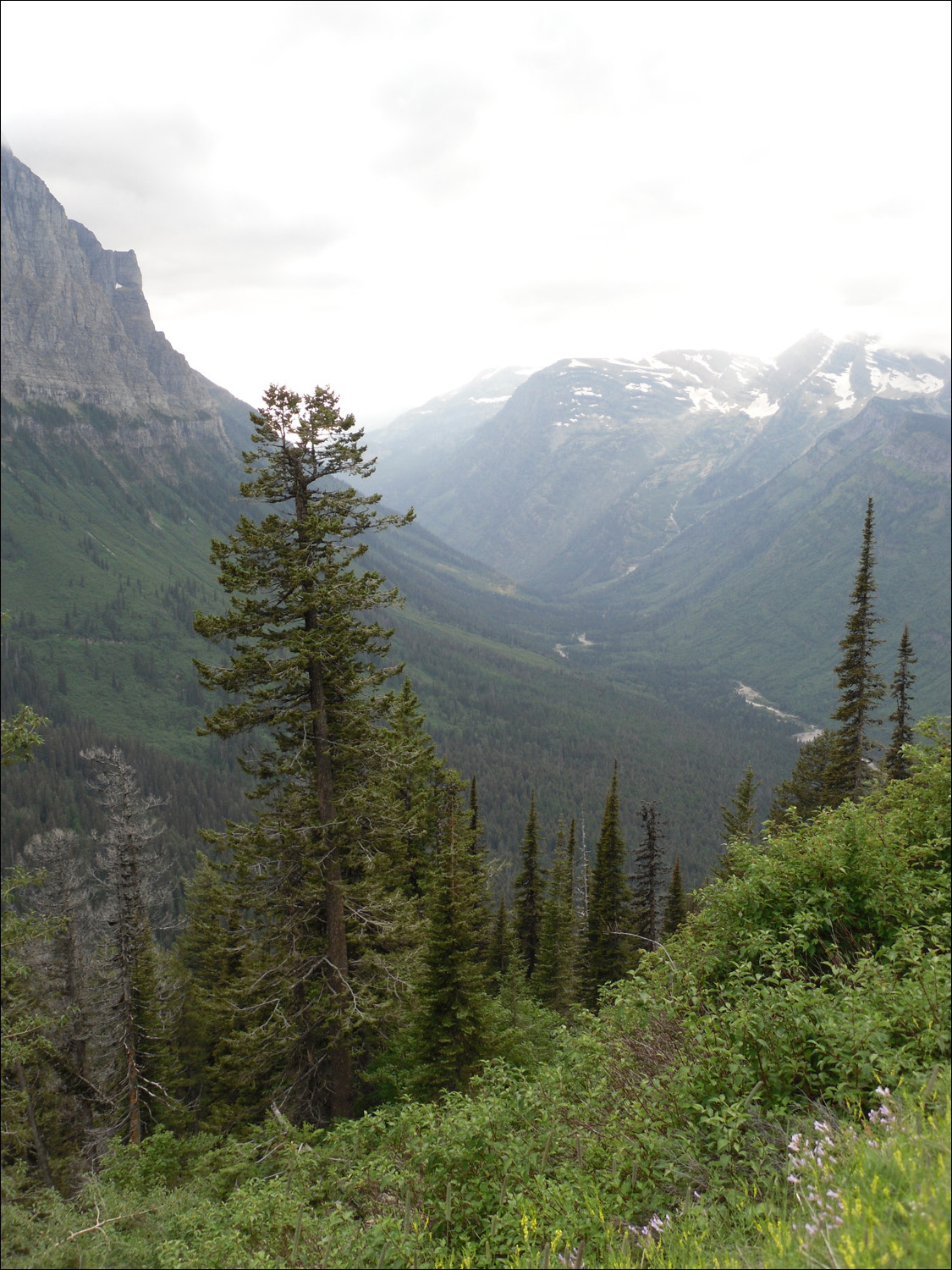 Glacier National Park-Views from west of Logans Pass on Going to the Sun Road.